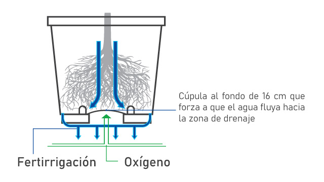 Irrigación