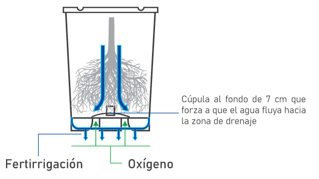 Irrigación