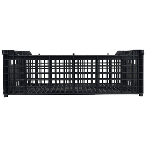 Caja aguacatera 10kg