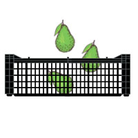 capacidad-caja-aguacatera capacidad-caja-aguacatera