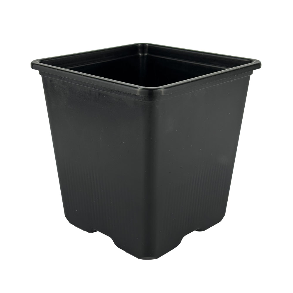 Maceta 1L
