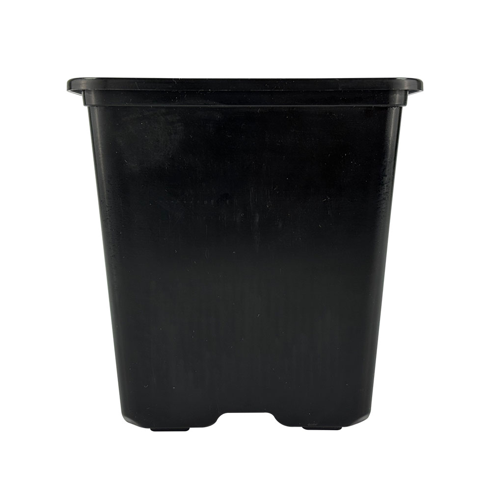 Maceta 1L