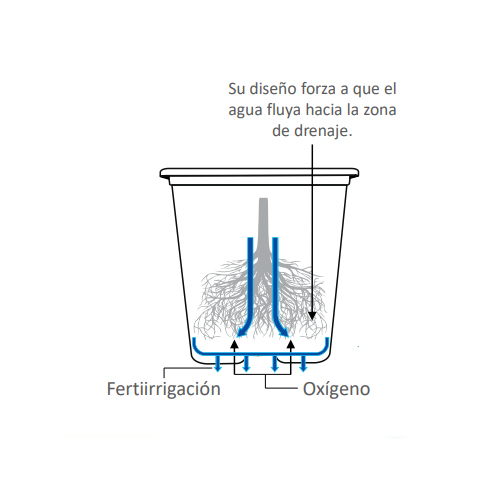 specs-maceta-1l-2